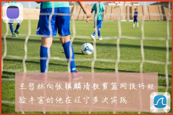 王哲林向张镇麟请教剪篮网技巧经验丰富的他在辽宁多次实践