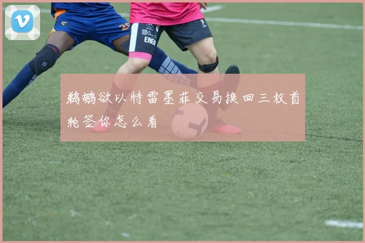 鹈鹕欲以特雷墨菲交易换回三枚首轮签你怎么看