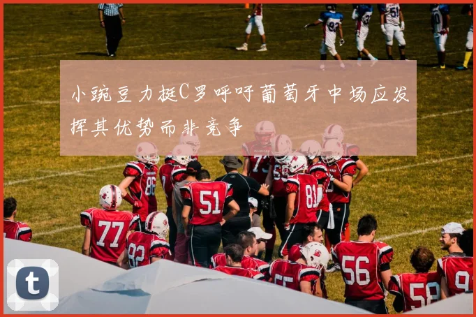 小豌豆力挺C罗呼吁葡萄牙中场应发挥其优势而非竞争